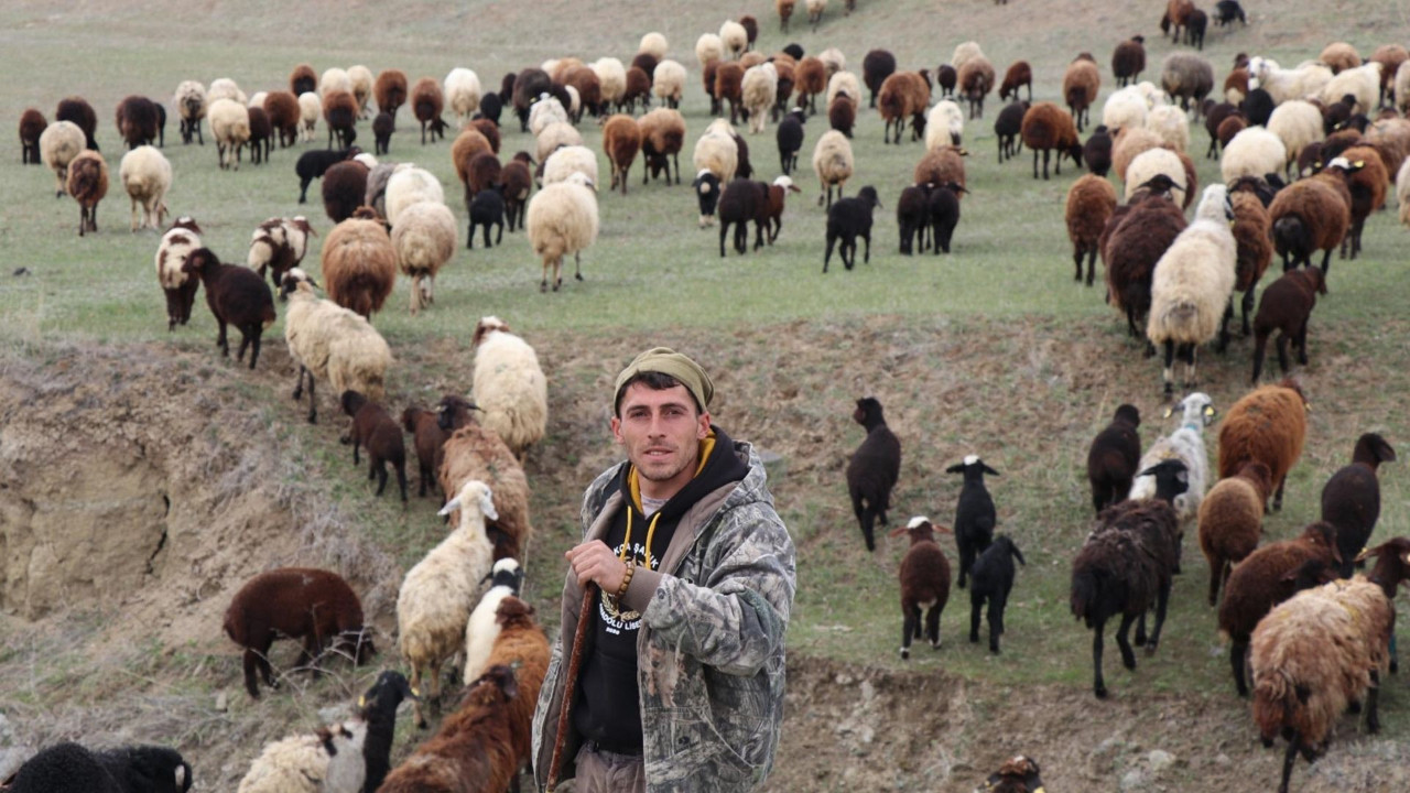 Oltu dağlarında teknolojik çoban: Sürüyü dronla yönetiyor