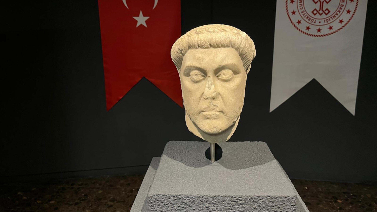 İzmir'den ABD'ye kaçırılmıştı! Ana vatanına geri döndü