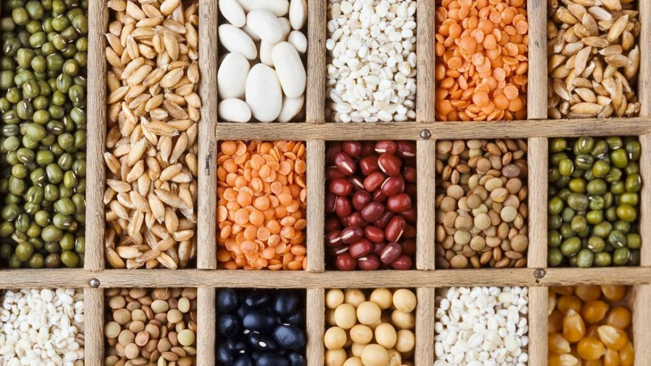 Tarımda stratejik dönüşüm: Yerli ve ata tohumlar iklim krizine önlem olur mu?