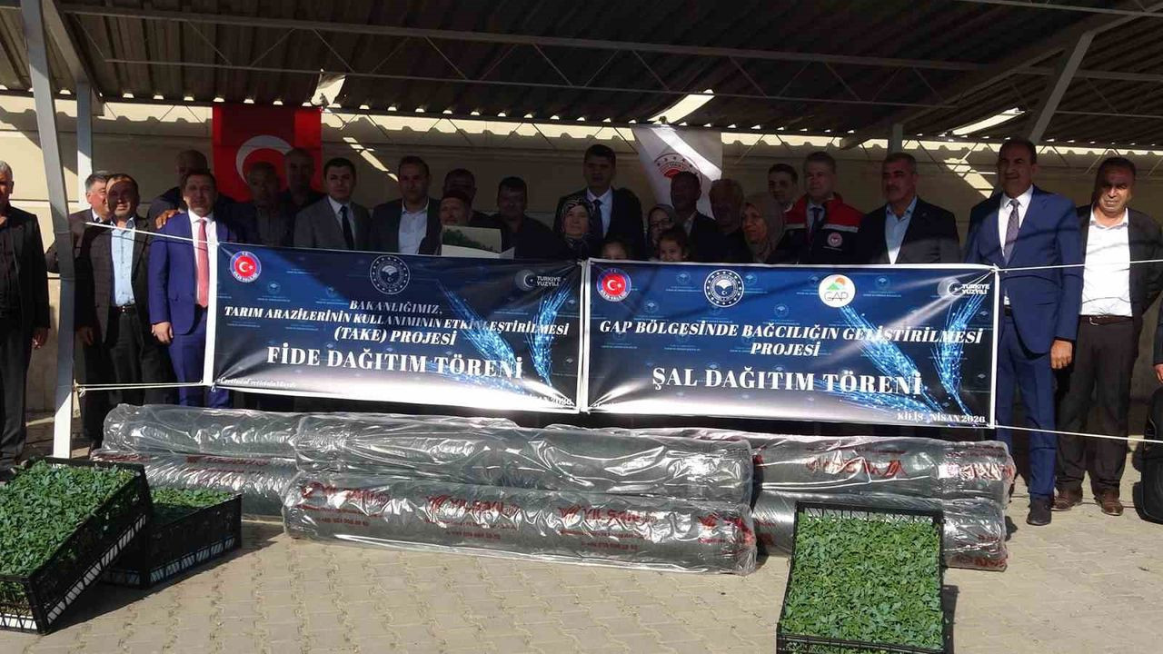 Kilis'te üreticilere 400 bin sebze fidesi dağıtıldı