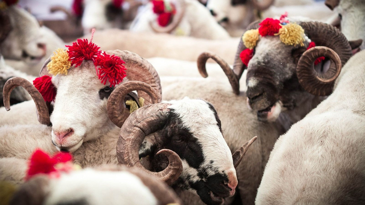 Kurban Bayramı tatili 9 gün mü? Bayram tatili 9 gün olacak mı?