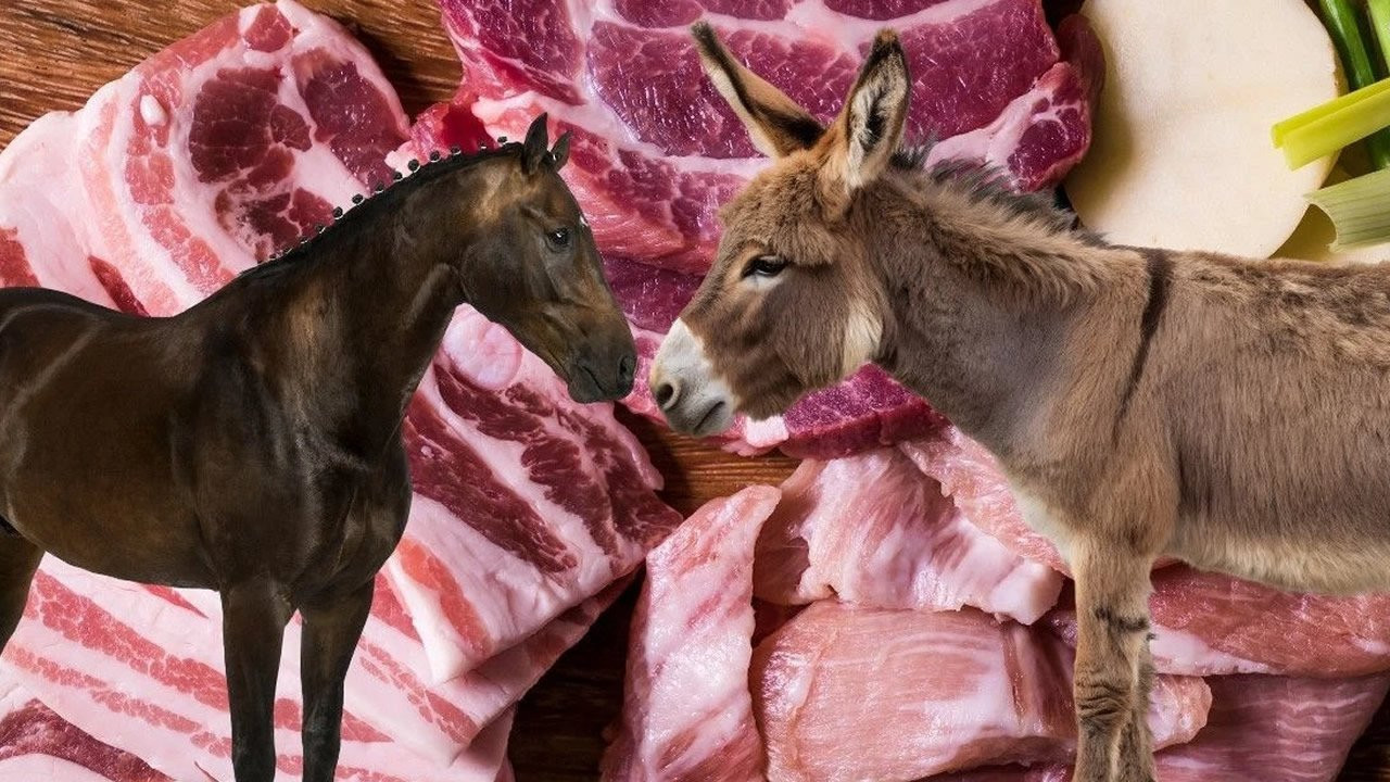 Tarım bakanlığı yeni taklit listesini açıkladı! O üründe at ve eşek eti çıktı