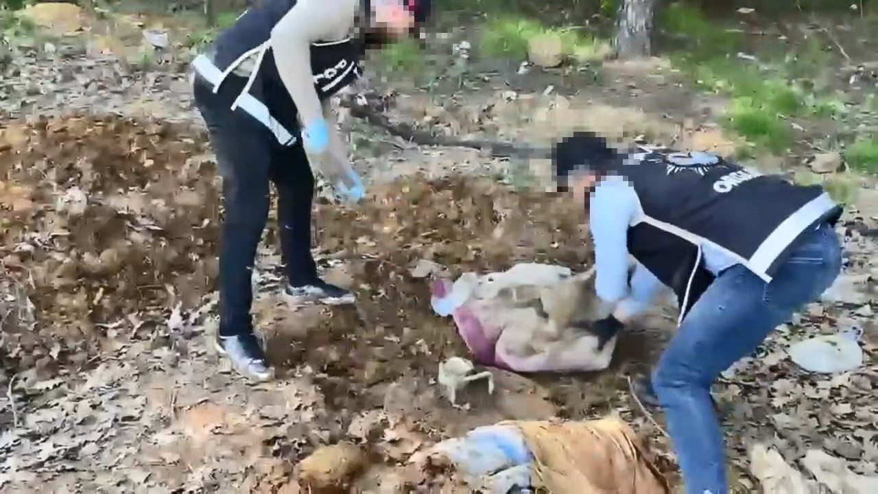 Toprak altındaki su kuyusundan binlerce silah parçası çıktı