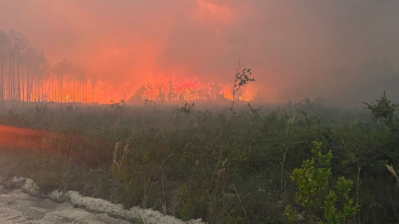 ABD’de yangın bilançosu ağırlaşıyor: Yanan ev sayısı 120’yi geçti
