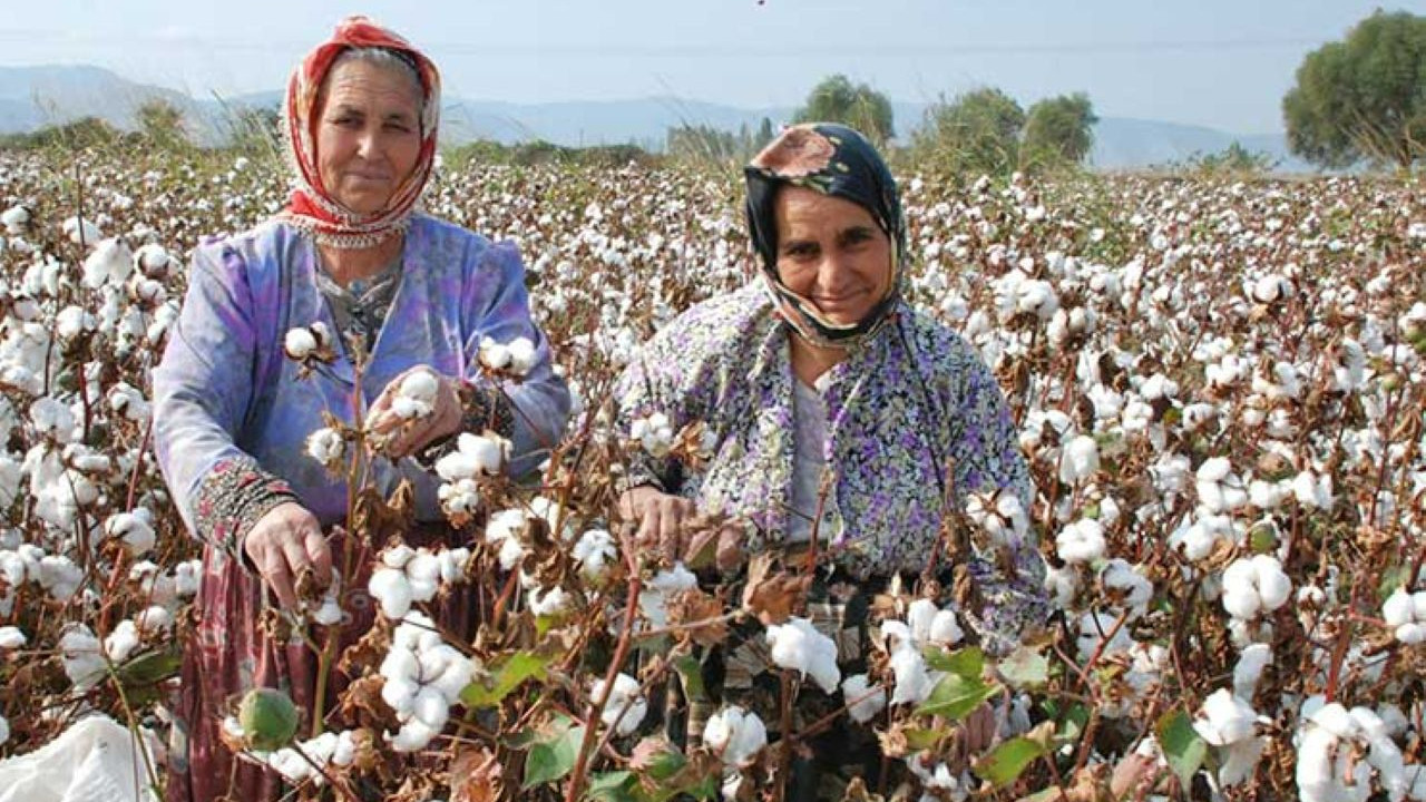 Tekstil sektöründe 'Hürmüz' dönüşümü: Petrol artınca rota pamuğa kırıldı