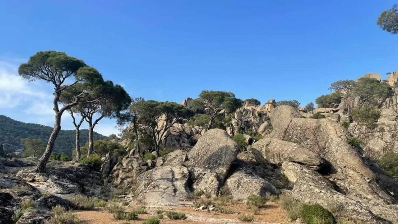 Binlerce yıllık kaya resimleri yok ediliyor