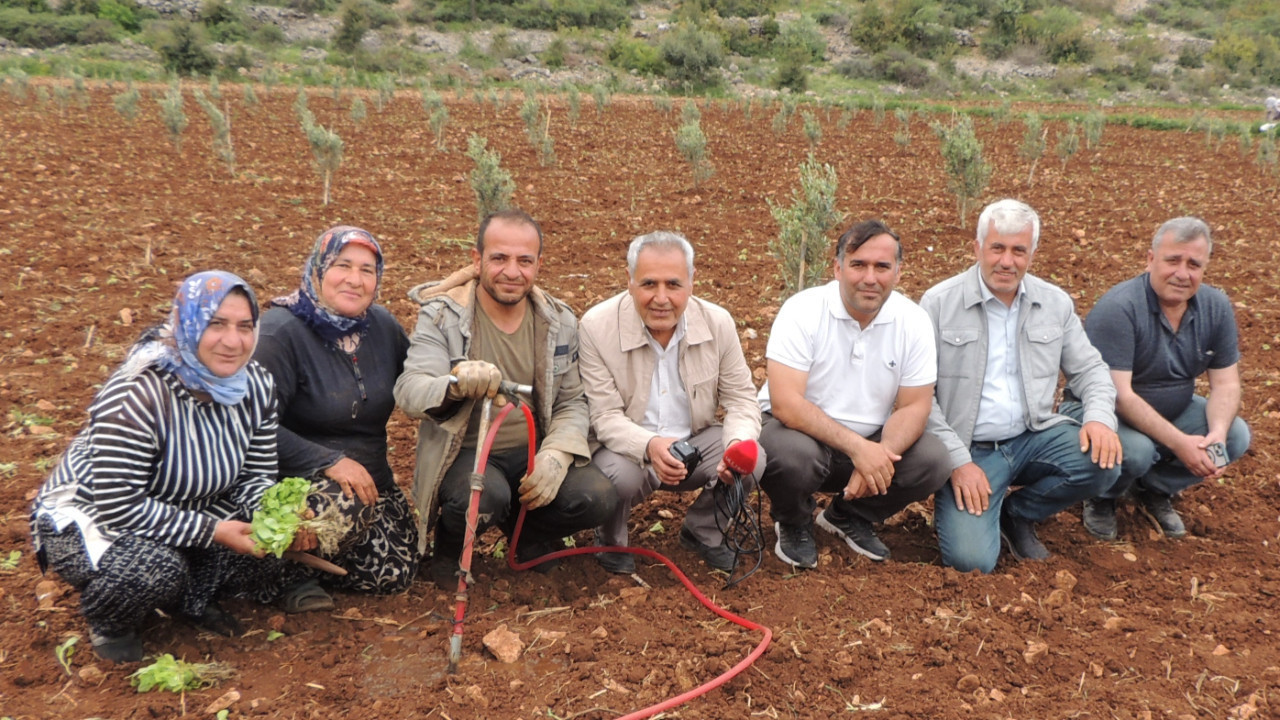Tütün üreticisi yabancıya çalışıyor