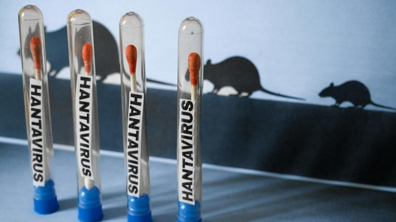 ABD'de hantavirüs alarmı: 3. seviye acil durum açıldı