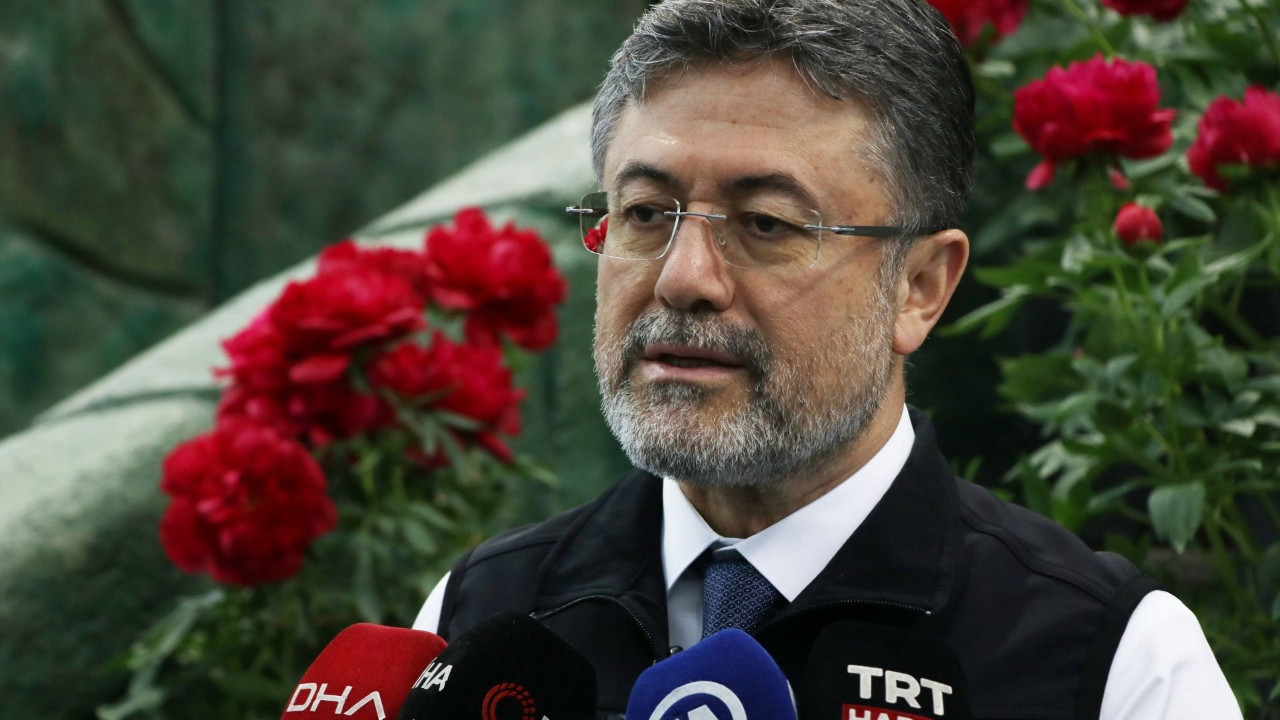 Çiçek üretimi yerel kalkınmanın lokomotifi oldu! Doğrudan 100 bin istihdam