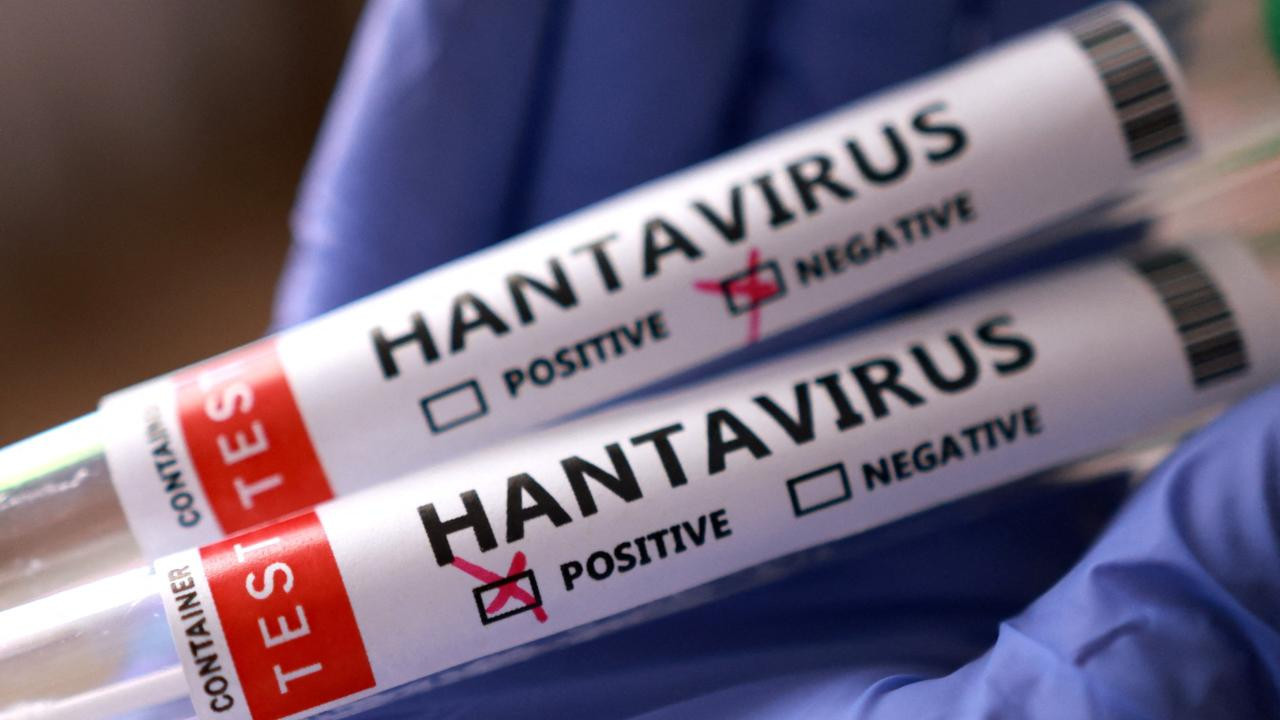Uzmanından korkutan iddialara yanıt: Hantavirüs pandemisi ihtimali sıfır