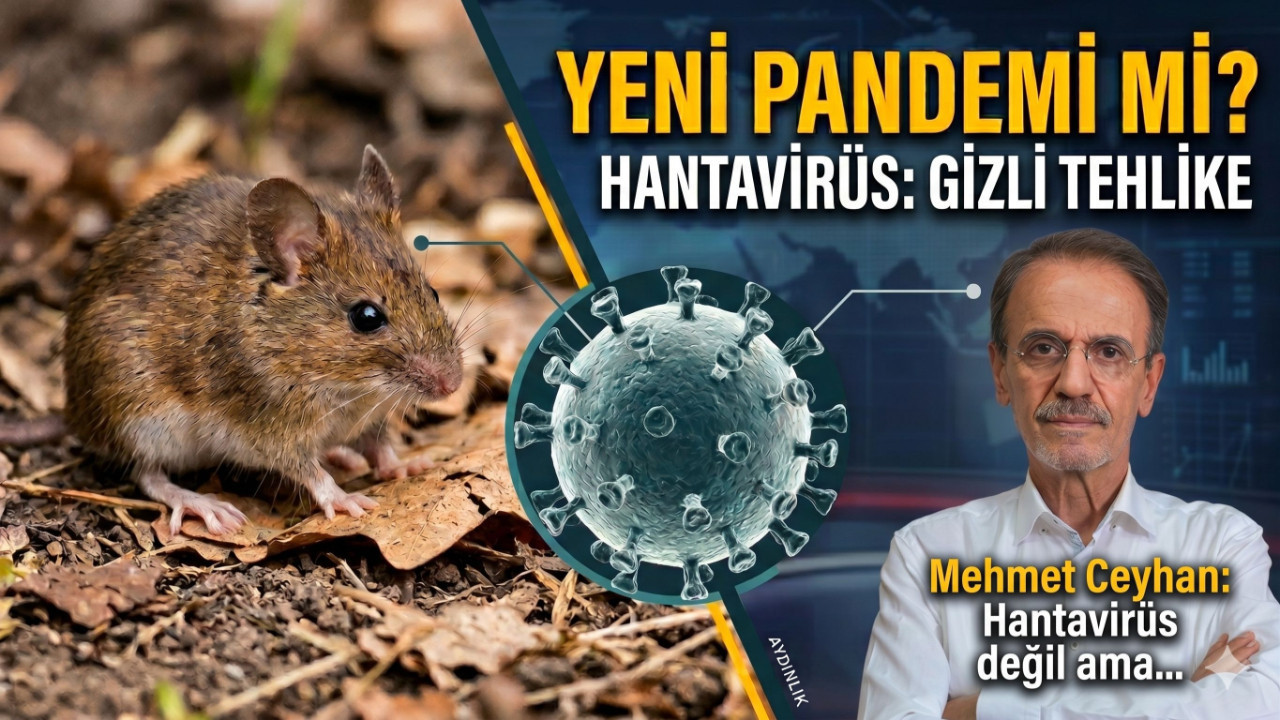 Mehmet Ceyhan'dan Hantavirüs uyarısı! Yeni bir pandemi çıkar mı?