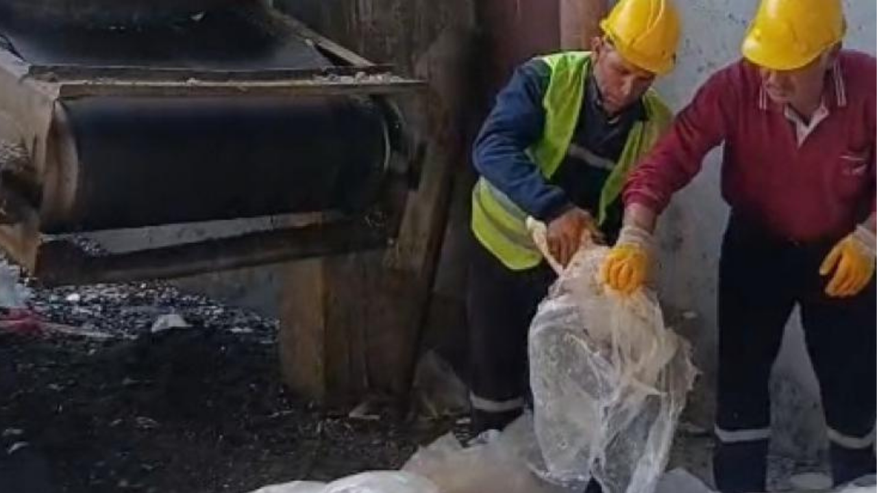 Tekirdağ'da 1200 kilo sağlıksız sakatat imha edildi