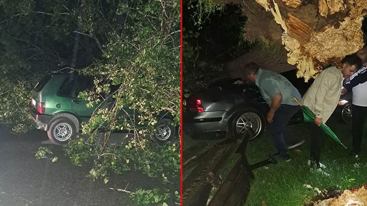 Bartın'da fırtına: Ağaçlar devrildi, araçlar zarar gördü