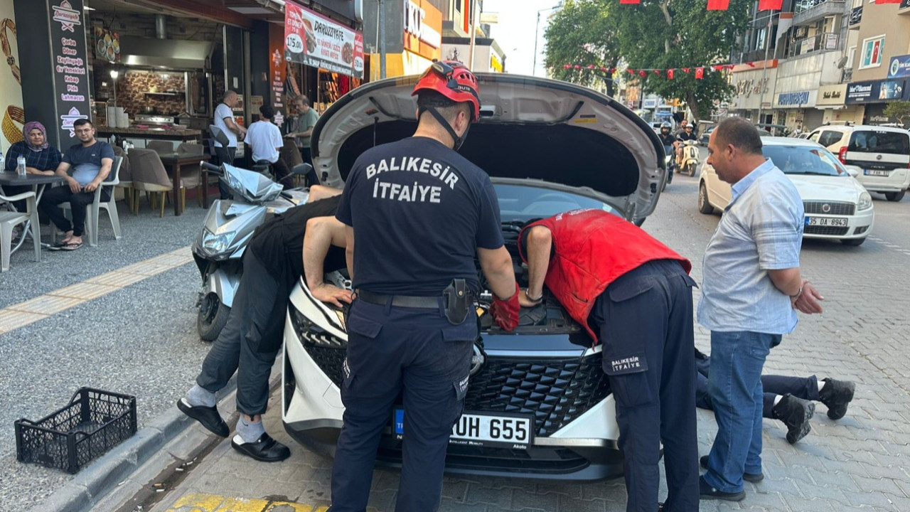 Kaputa giren kedi ekiplere zor anlat yaşattı