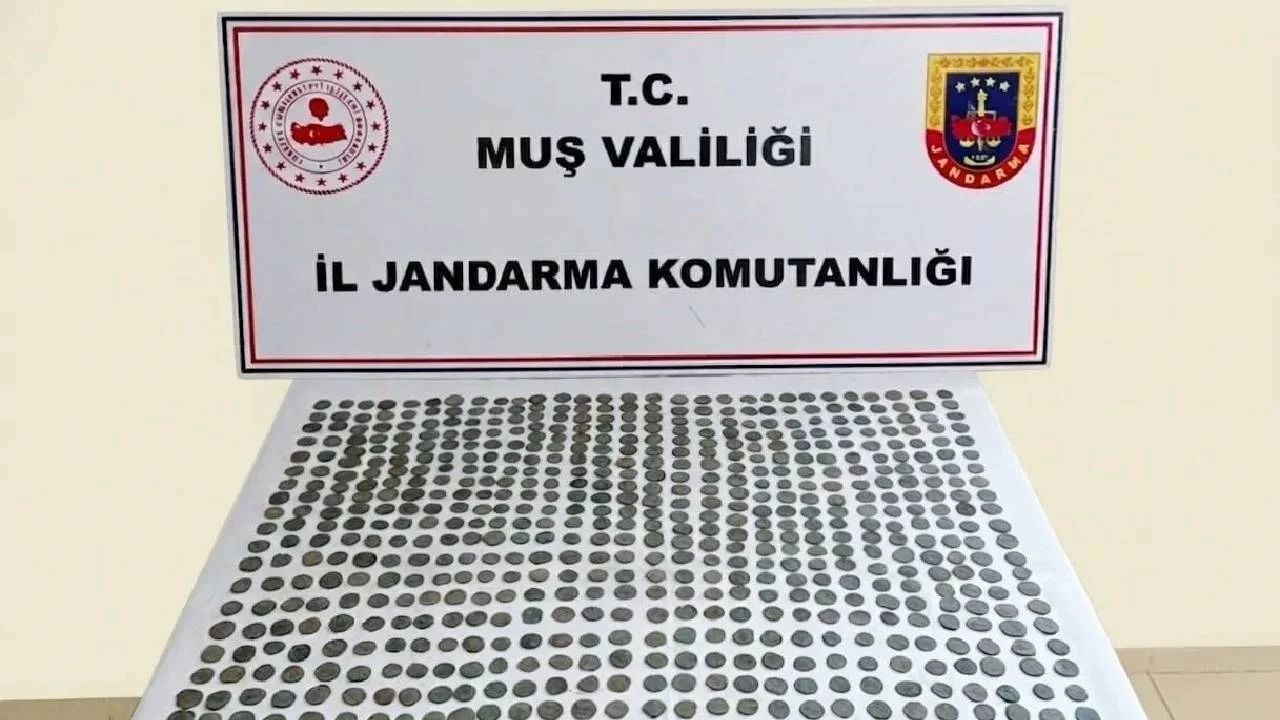 Muş'ta ele geçirildi! Tam 749 adet