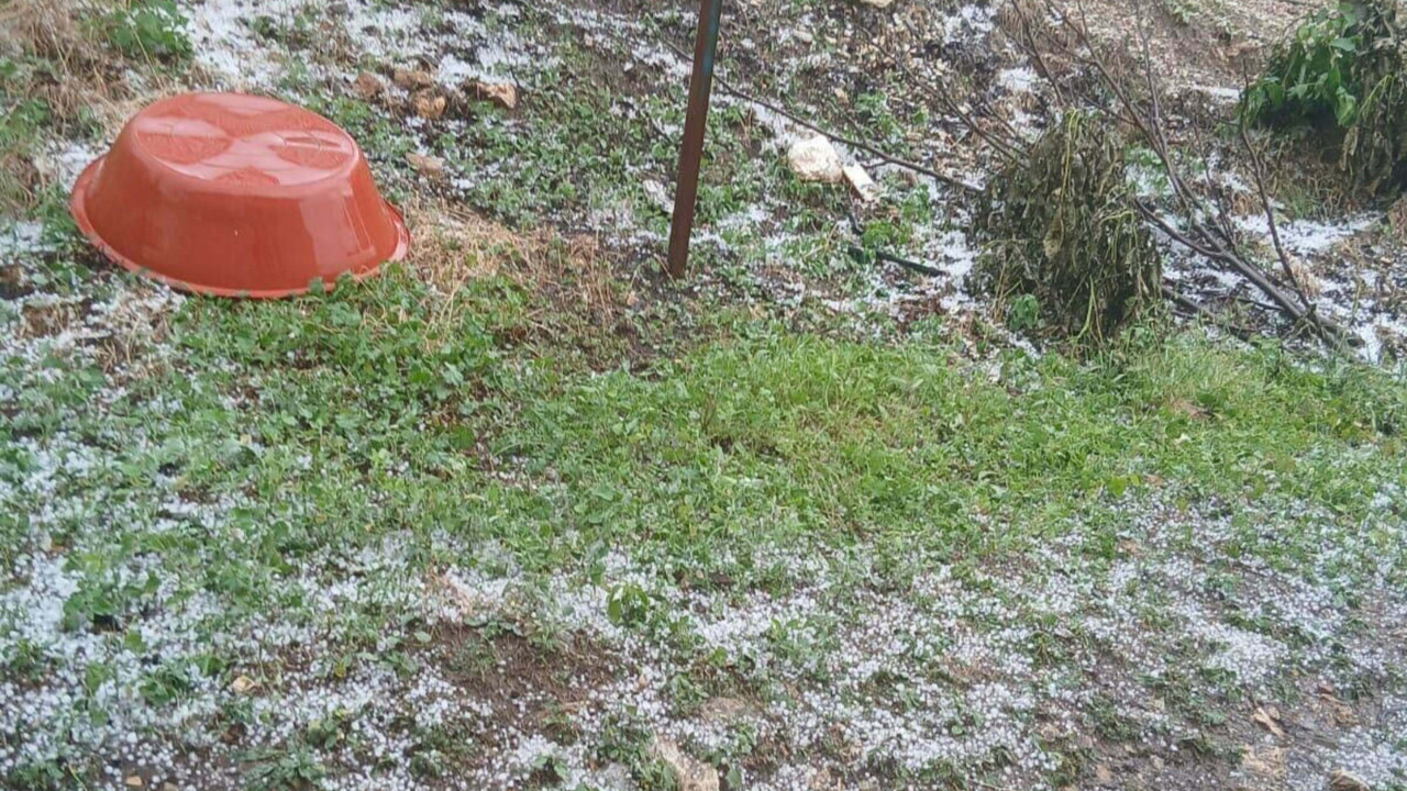 Manisa'da dolu yağışı tarım alanlarına zarar verdi