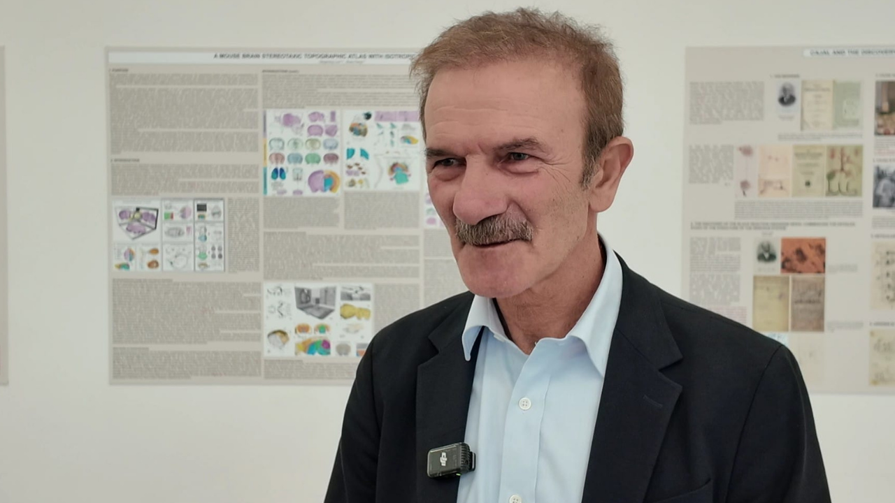Taştepeler Projesi insanlığın ilk 'toplumsal örgütlenmesini' araştırıyor