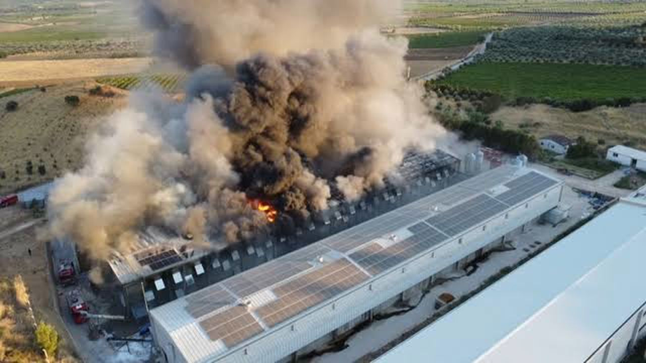 Manisa Turgutlu'da yumurta üretim tesisi yandı