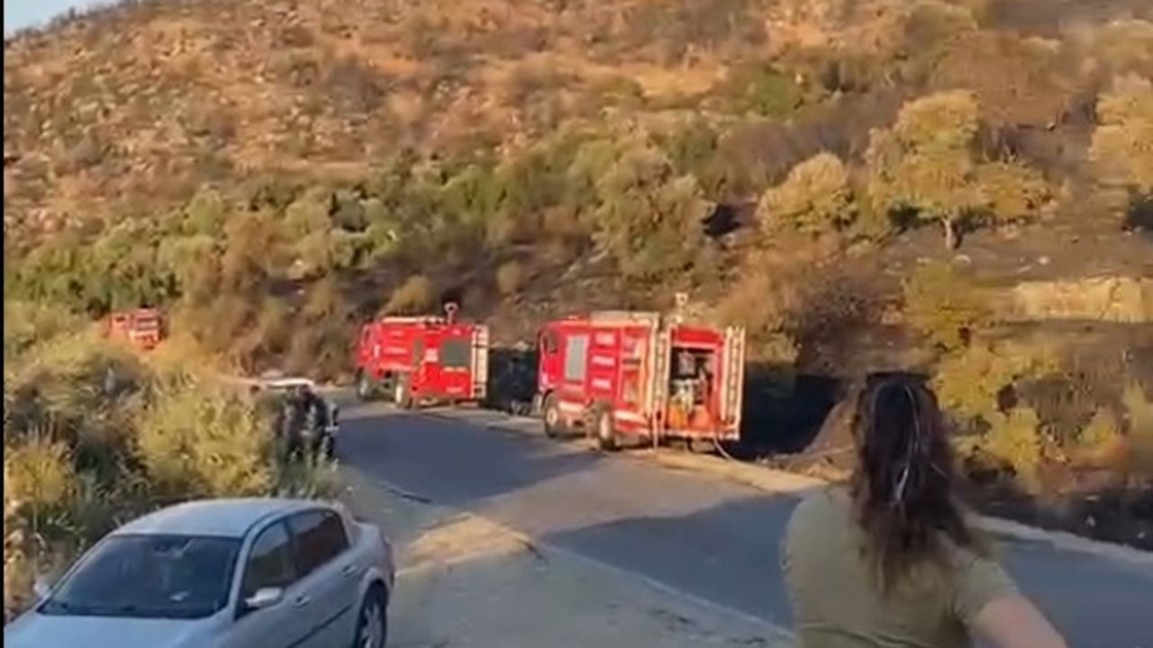 Aydın Söke’deki orman yangını kontrol altına alındı