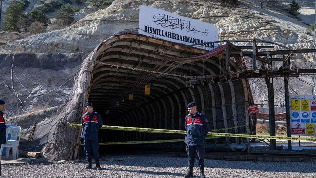 Özelleştirme can aldı