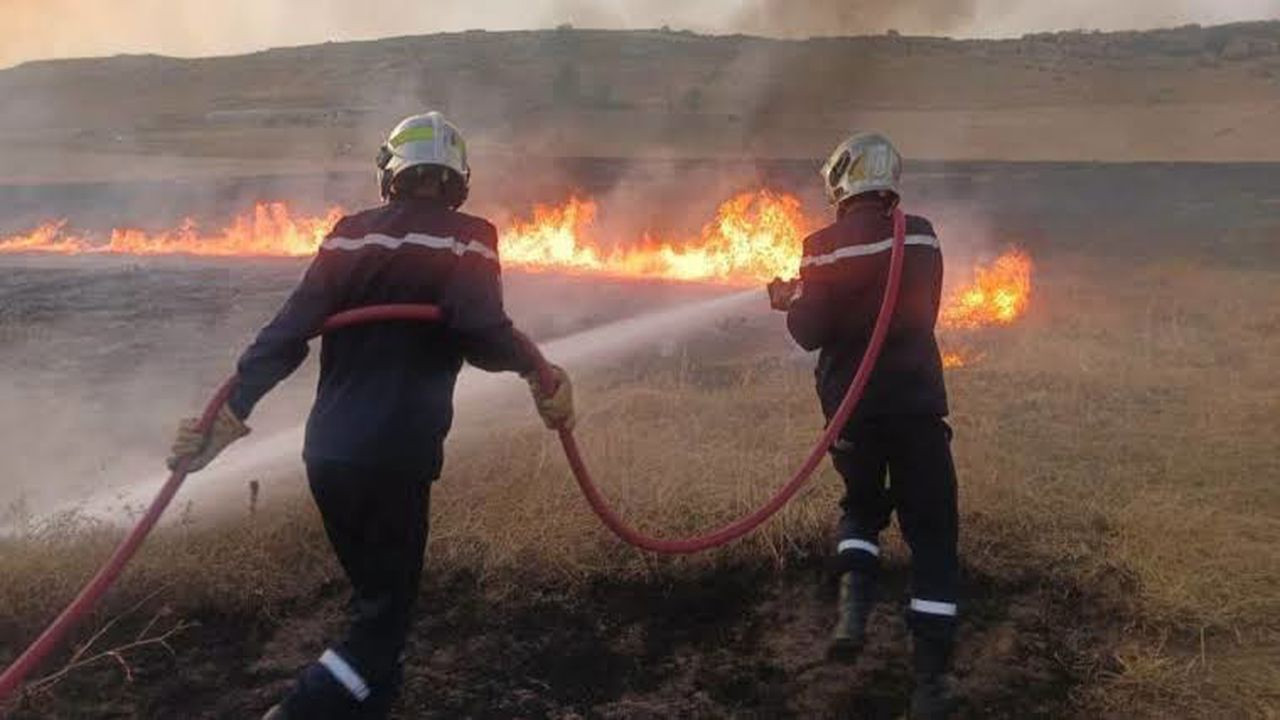 Cezayir’de 24 saatte 6 bölgede 72 orman yangını