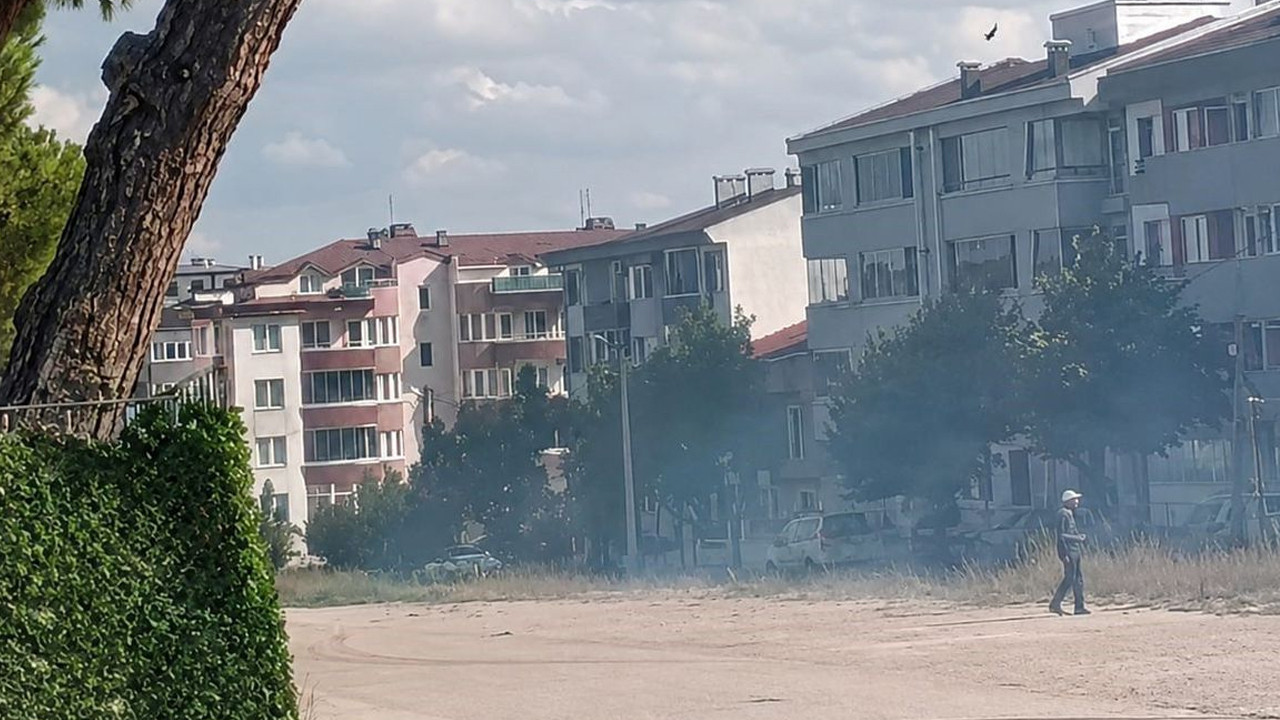 Düğün konvoyundan atılan havai fişek çam ağacını yaktı