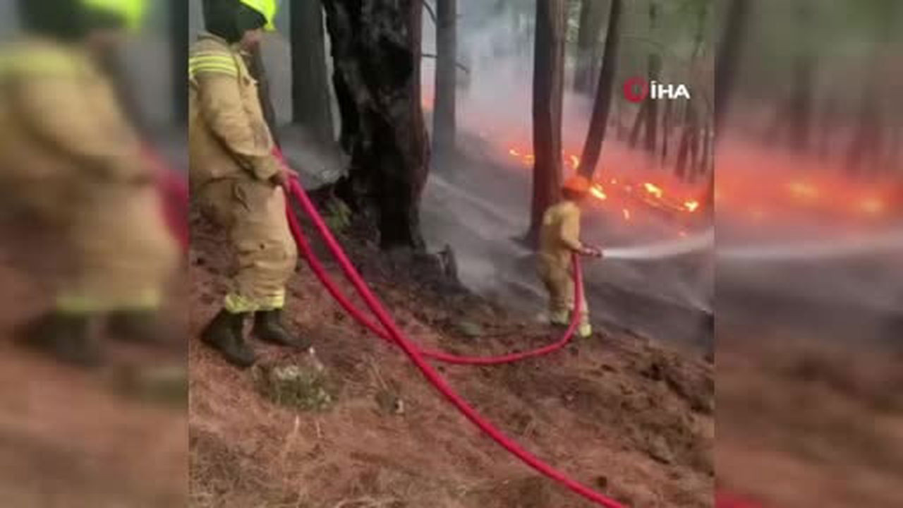 Manavgat’taki yangının enerjisi düşürüldü