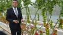 Niğde ve Aksaray'dan getirildi! Kocaeli'de Türkiye'ye örnek oldu