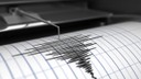 Bingöl'ün Genç ilçesinde deprem!