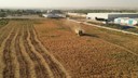 Şanlıurfa'da ücretsiz olacak dağıtılacak! Akçakale ve Eyyübiye ilçelerinde yapılacak
