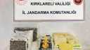 Kırklareli'de ele geçirildi! Değeri 100 milyon TL