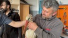 Karabük'te kaporta ustası o leyleği işte böyle kurtardı