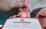Yenidoğan çetesi davasında 34 kişi meslekten men edildi