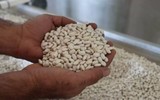 A101'de sofraların sultanı kuru fasulyenin fiyatı düştü! 1 haftalık dev kampanya başlıyor! A101 katalog bu hafta fiyatı düşen ürünlerin listesi