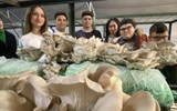 Antalya'da lise öğrencileri yetiştirdi! Tam 500 kilogram...