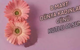 Emekçi kadınlar