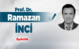 Bir karanfil bırakıyorum