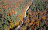 Bilecik ormanlarında sonbahar renkleri hakim oldu