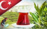 Türkiye'nin en ucuz çayı! 5 liradan satılıyor, bakın hangi ilde