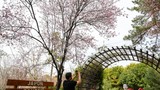 Gaziantep'e bahar geldi!