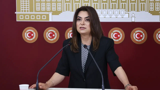 DEM Partili Koçyiğit: 'Çerçeve yasa taslağının bu hafta sunulmasını bekliyoruz'