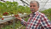 Niğde'de üretmeye başladı! 150 liradan alıcı buluyor