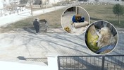 İnsanlık kalmamış dedirten görüntü: Köpeğin ayaklarını iple bağlayıp çöpe attı