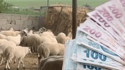 Eskişehir'de uygulanacak! 113 milyon TL dağıtılacak