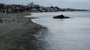 Balıkesir'de korkutan görüntü!