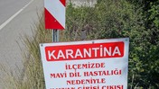 Muğla Datça'da hastalık nedeniye karantina başladı!