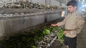 Batman'da üretilip 1000 TL'ye satılıyor! Osmanlı'dan kalma bir meslek