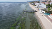 Tekirdağ’ın mavi bayraklı plajları 10'a çıktı! Şarköy'e Süleymanpaşa da eklendi