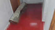 Kanalizasyondan gelen kurban kanı 2 daireyi bastı!
