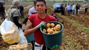Patates fiyatları düştü! Bakın Adana'da kaç liraya satılıyor